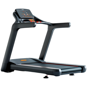 Lifelong Treadmill
