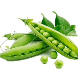 Beans