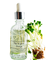 Brahmi Brain Boost Oil