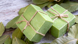 NeemGuard Skin Soap